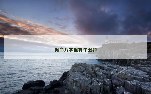 男命八字里有午丑卯