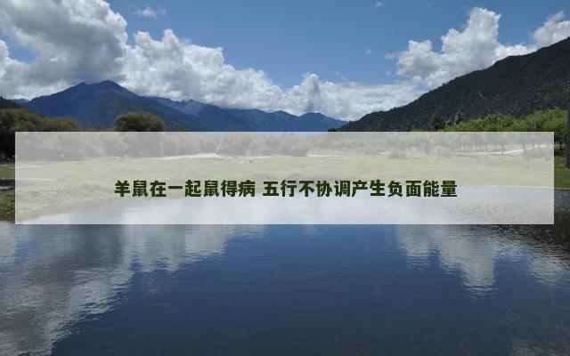 羊鼠在一起鼠得病 五行不协调产生负面能量
