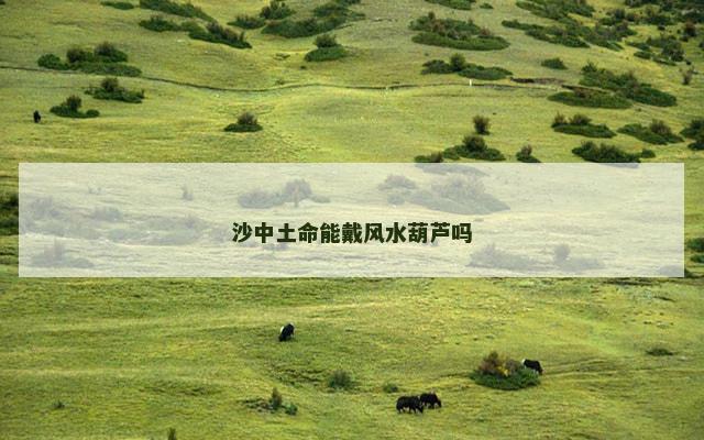 沙中土命能戴风水葫芦吗