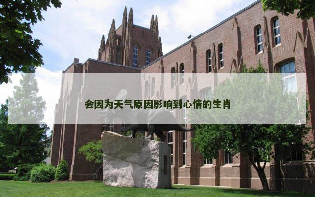 会因为天气原因影响到心情的生肖