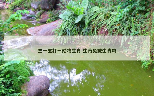 三一五打一动物生肖 生肖兔或生肖鸡