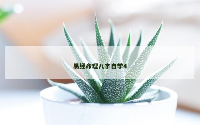 易经命理八字自学4