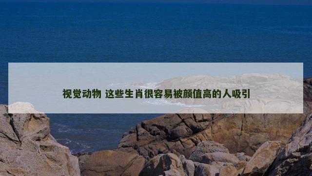 视觉动物 这些生肖很容易被颜值高的人吸引