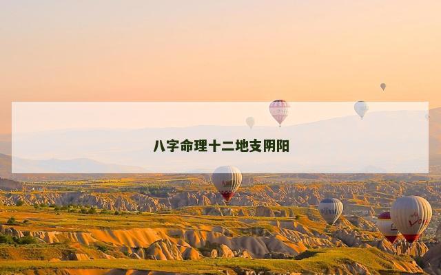 八字命理十二地支阴阳