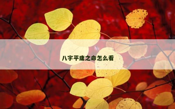 八字平庸之命怎么看