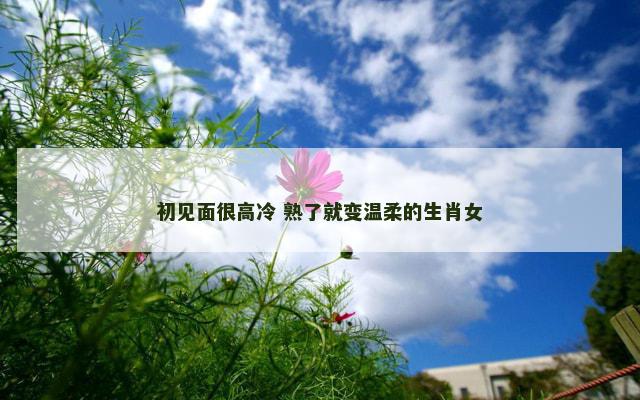 初见面很高冷 熟了就变温柔的生肖女