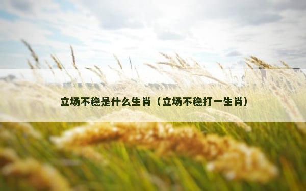 立场不稳是什么生肖（立场不稳打一生肖）