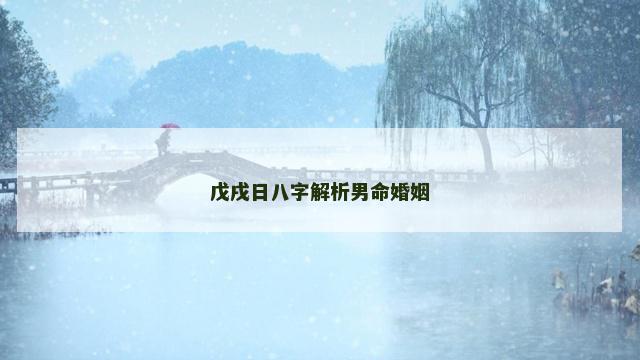戊戌日八字解析男命婚姻