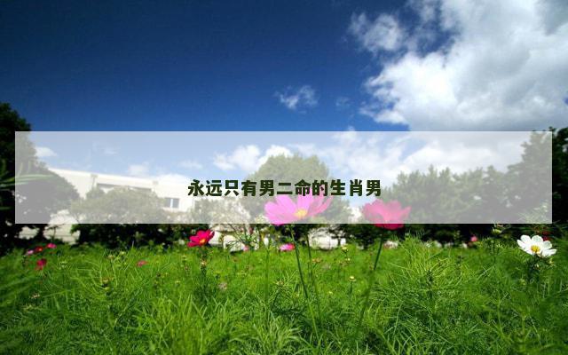 永远只有男二命的生肖男