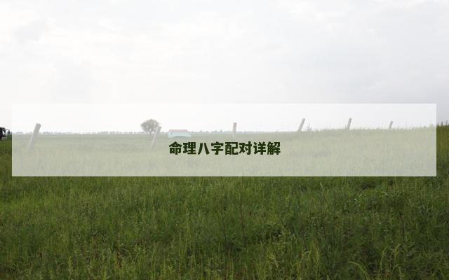 命理八字配对详解