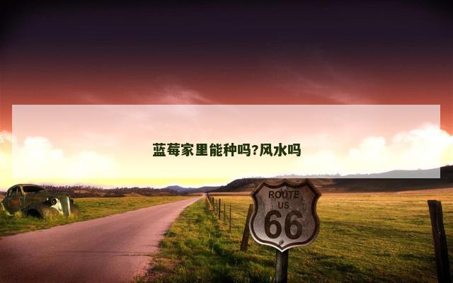 蓝莓家里能种吗?风水吗