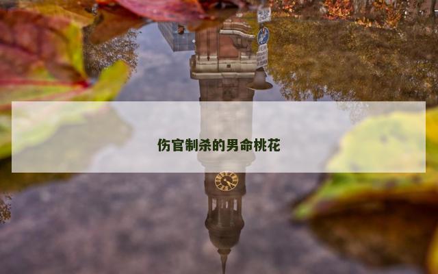 伤官制杀的男命桃花