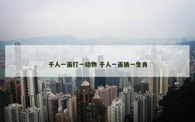 千人一面打一动物 千人一面猜一生肖