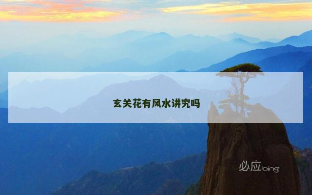 玄关花有风水讲究吗