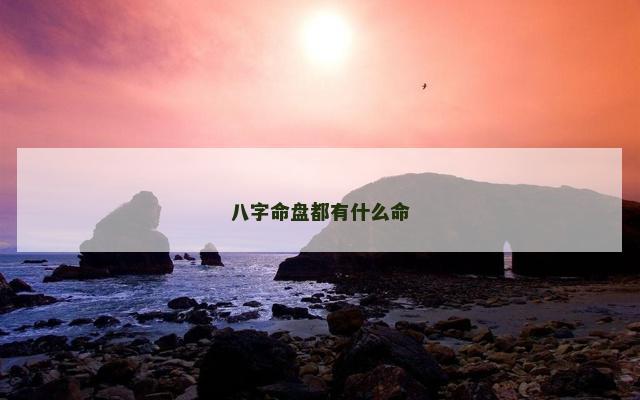 八字命盘都有什么命