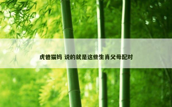 虎爸猫妈 说的就是这些生肖父母配对