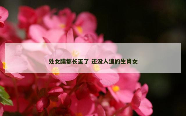 处女膜都长茧了 还没人追的生肖女