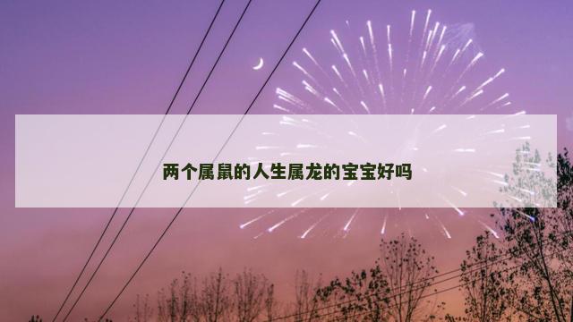 两个属鼠的人生属龙的宝宝好吗