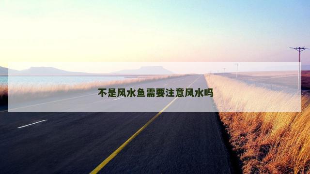 不是风水鱼需要注意风水吗