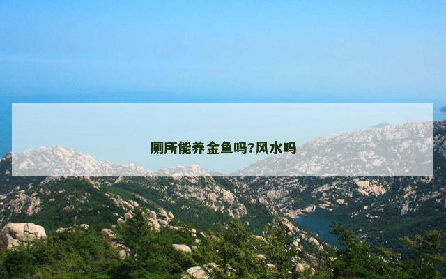厕所能养金鱼吗?风水吗