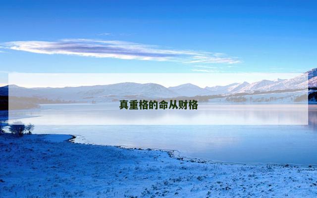 真重格的命从财格