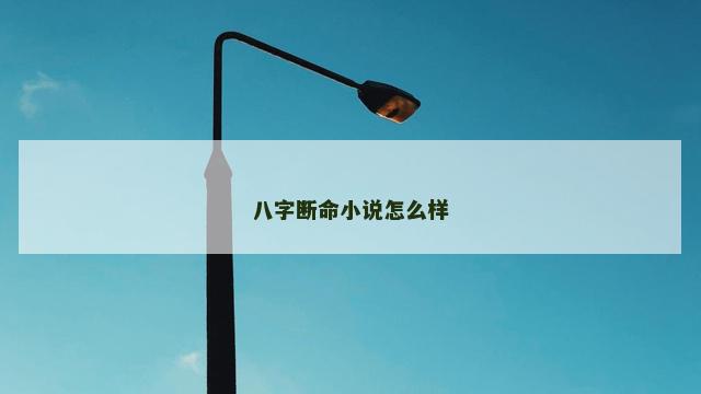 八字断命小说怎么样