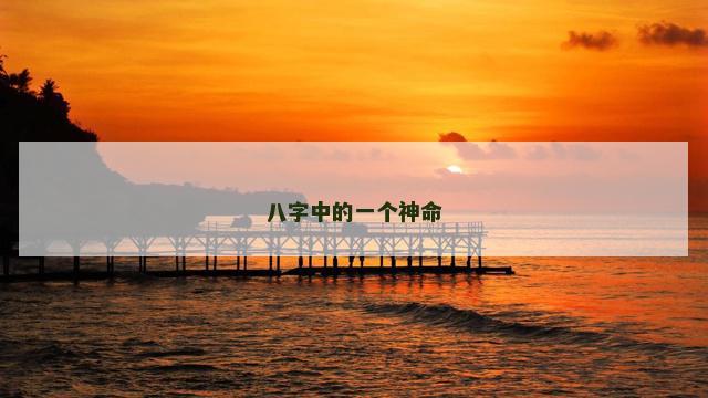 八字中的一个神命