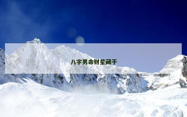 八字男命财星藏干