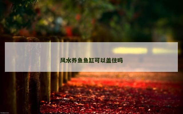 风水养鱼鱼缸可以盖住吗