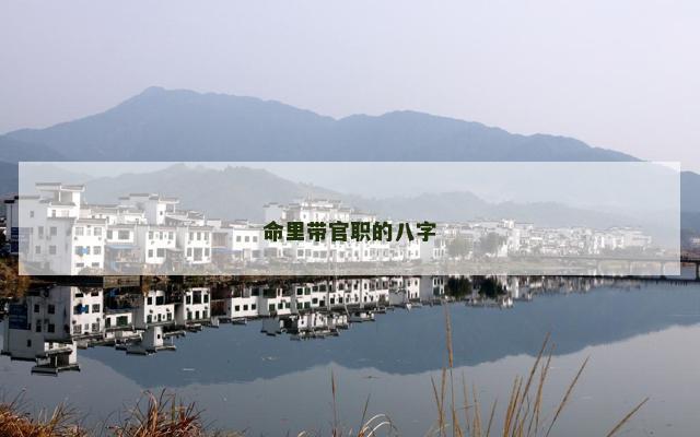 命里带官职的八字