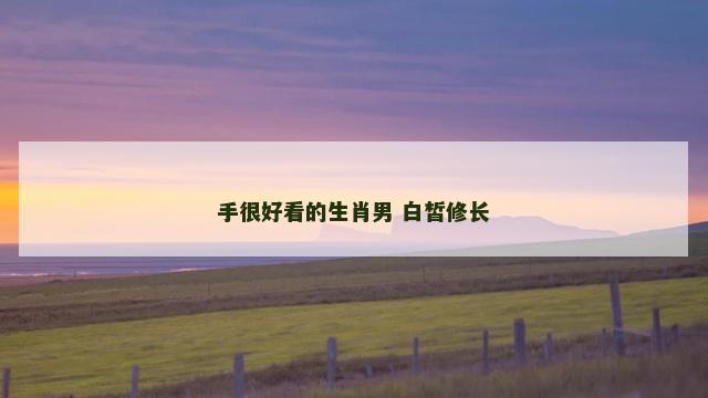 手很好看的生肖男 白皙修长