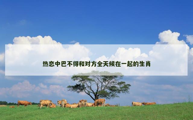 热恋中巴不得和对方全天候在一起的生肖