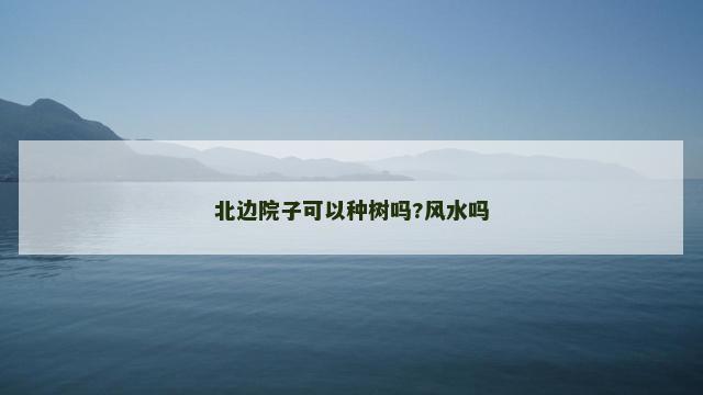 北边院子可以种树吗?风水吗