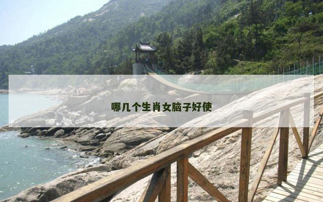 哪几个生肖女脑子好使