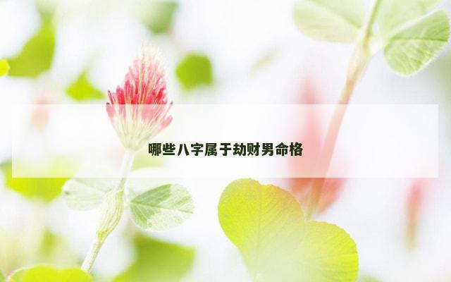 哪些八字属于劫财男命格
