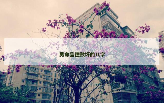 男命品德败坏的八字