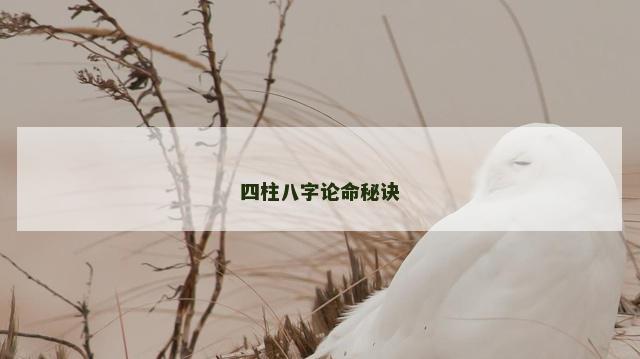 四柱八字论命秘诀