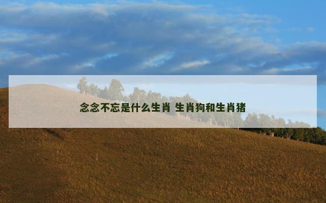 念念不忘是什么生肖 生肖狗和生肖猪