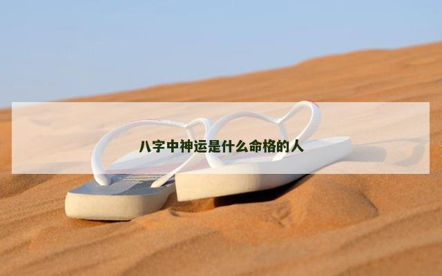 八字中神运是什么命格的人