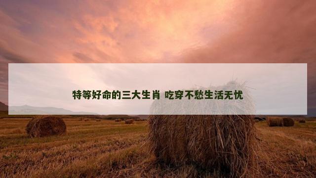 特等好命的三大生肖 吃穿不愁生活无忧