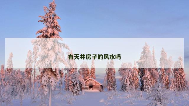有天井房子的风水吗