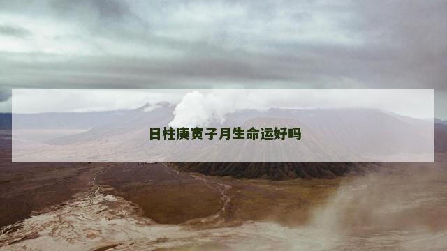 日柱庚寅子月生命运好吗
