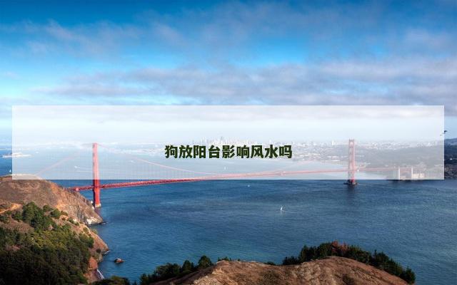 狗放阳台影响风水吗