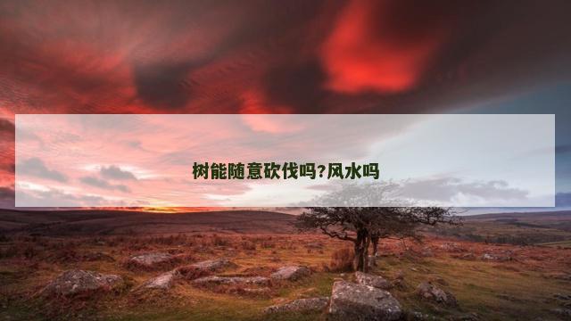 树能随意砍伐吗?风水吗