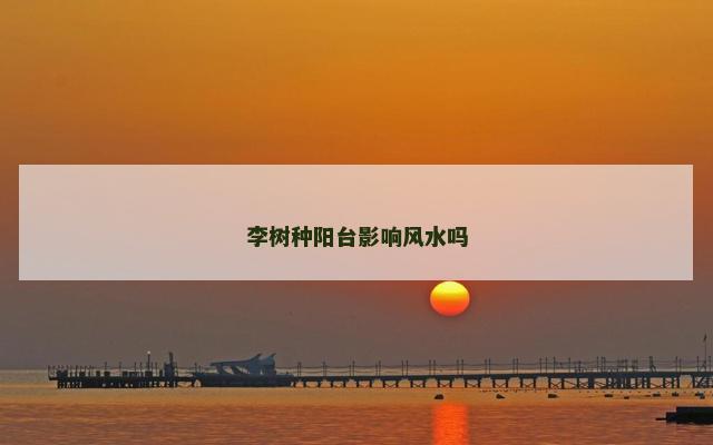 李树种阳台影响风水吗
