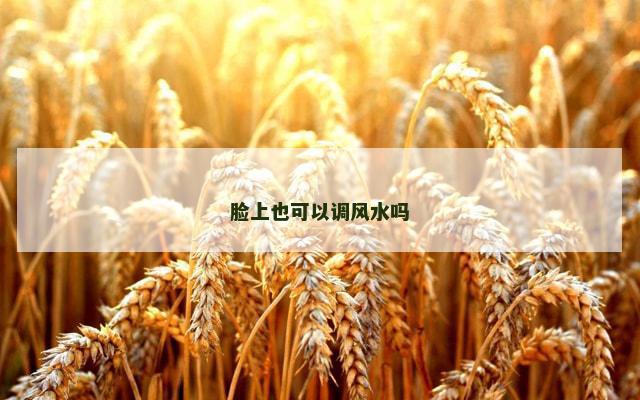 脸上也可以调风水吗
