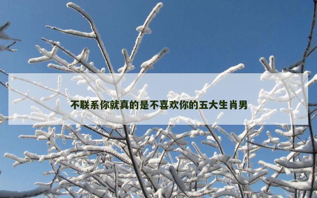 不联系你就真的是不喜欢你的五大生肖男