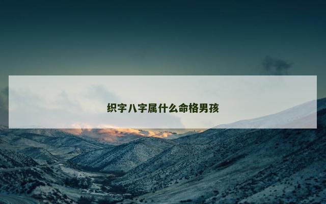 织字八字属什么命格男孩
