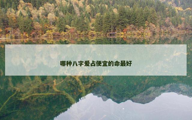 哪种八字爱占便宜的命最好