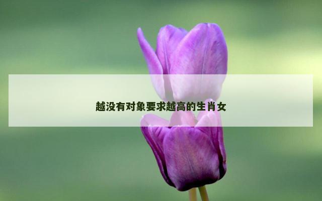 越没有对象要求越高的生肖女